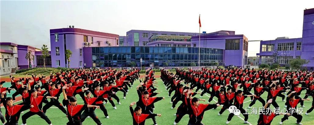 【扩散】一张一驰，文武斌心——民办斌心学校2020招生公告