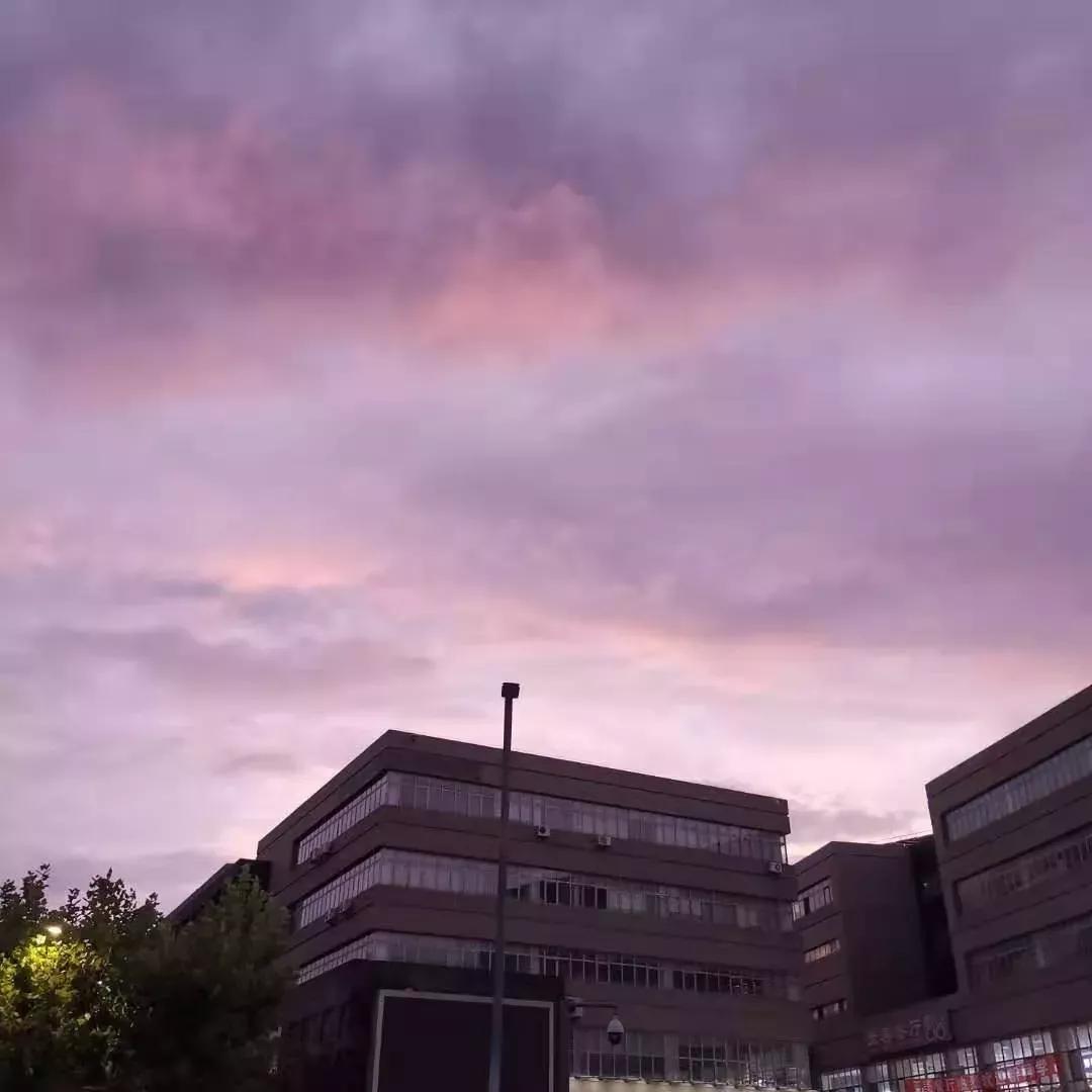 辽宁省高校（三十一）大连医科大学