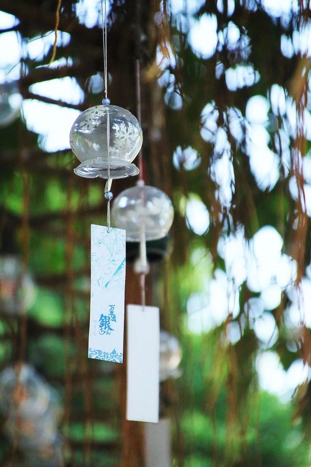 广州拍照好看的地方情侣,广州适合女孩子拍照的地方