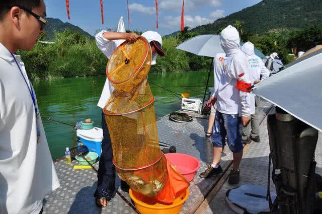 钓鱼鱼饵怎么使用,钓鱼新手三大误区