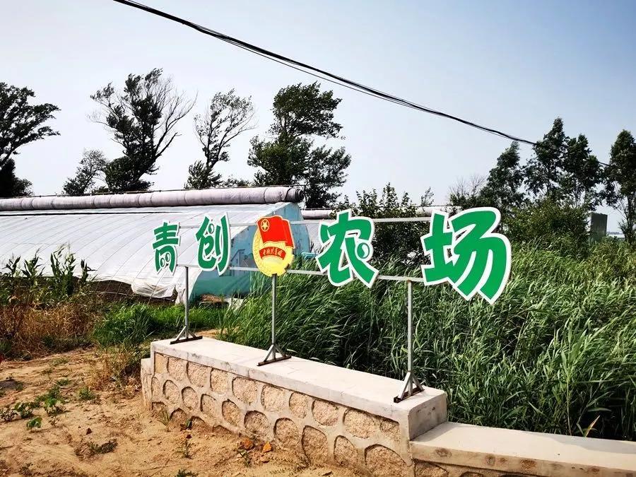 走向我们的小康生活非遗篇,走向我们的小康生活科普