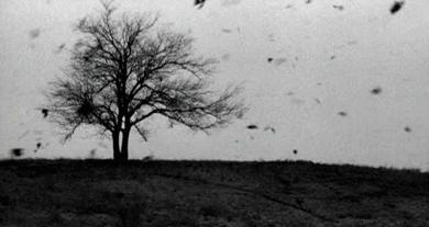 宝宝风疹病毒是什么引起的,宝宝得了风疹要紧吗