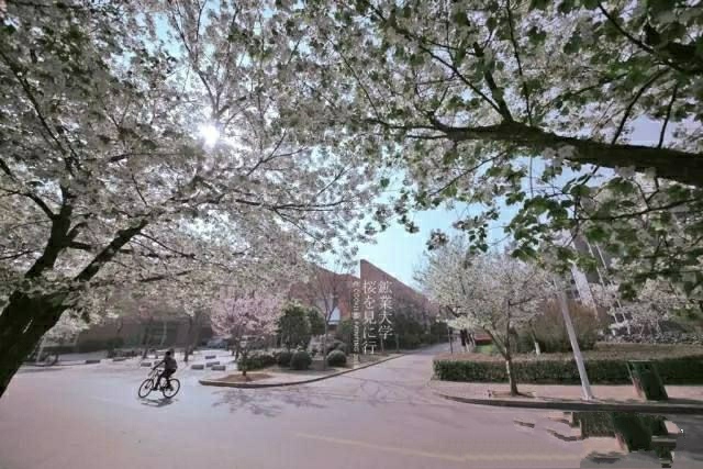 这所位于徐州的部属“国字号”大学知名度低，校园却美到不可胜收