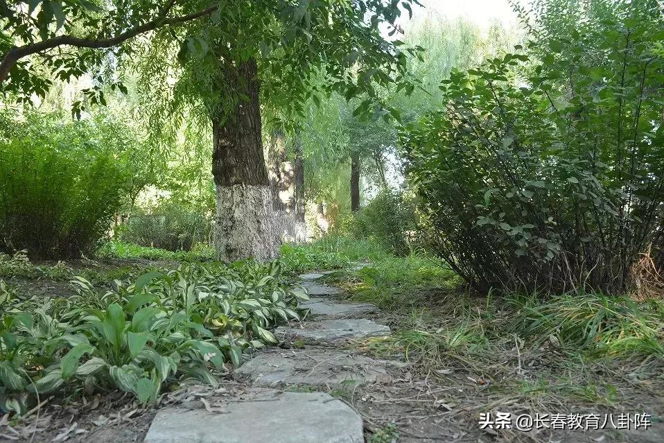 长春高中生的一天,长春高中生活日常