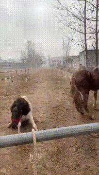 喜欢很久的小哥哥,喜欢了很久的小哥哥