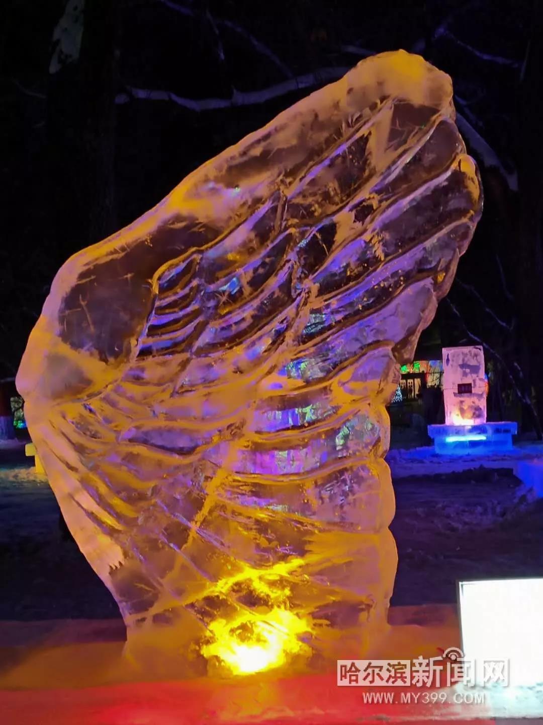 哈尔滨兆麟公园冰灯免费开放时间,哈尔滨第一届冰灯游园图片