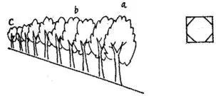 达芬奇画画懂得什么道理,达芬奇一共画了多少个鸡蛋