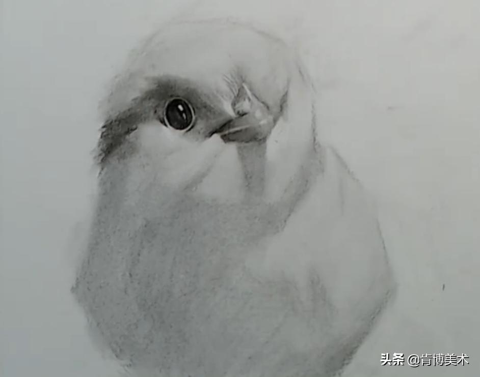 怎样画素描小鸡顶蛋壳,小鸡素描怎么画