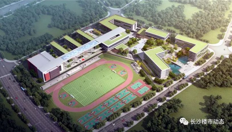 岳麓区新增学校名单,岳麓区最大项目