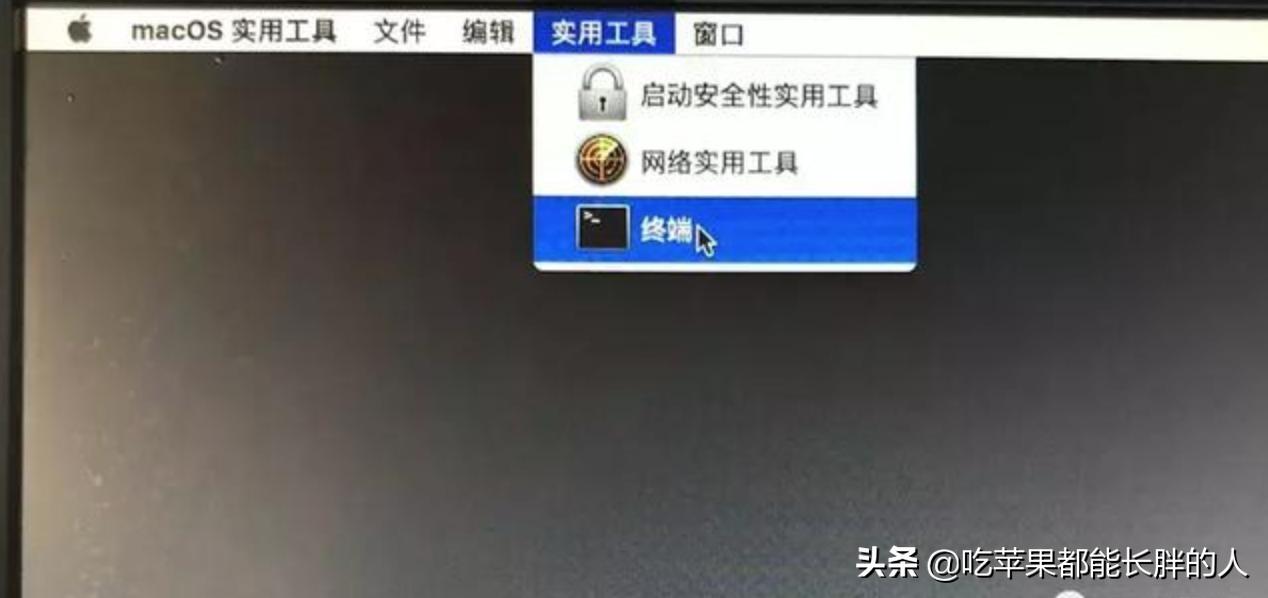 苹果笔记本fusion硬盘,苹果mac如何使用固态硬盘