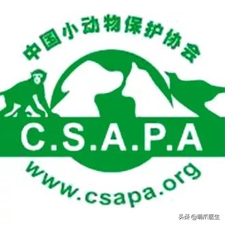 物业给小区流浪猫绝育视频,业主凑20万给流浪猫绝育