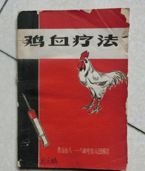 鸡血疗法治什么病最好,鸡血疗法狂热年代的神奇秘方