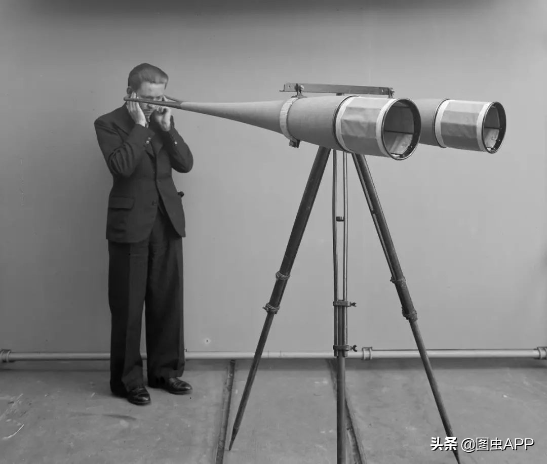 图虫opensealab摄影,图虫看动物世界系列