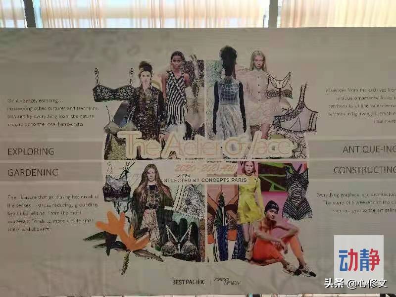 持续更新丨牵手做大牌！东莞这家企业要在贵州追加投资30亿元