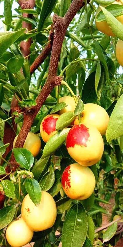 前方高能预警,前方高能预警有多高能