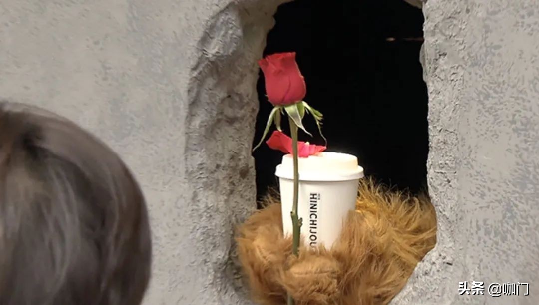 熊掌咖啡爆红,熊掌咖啡怎么样了