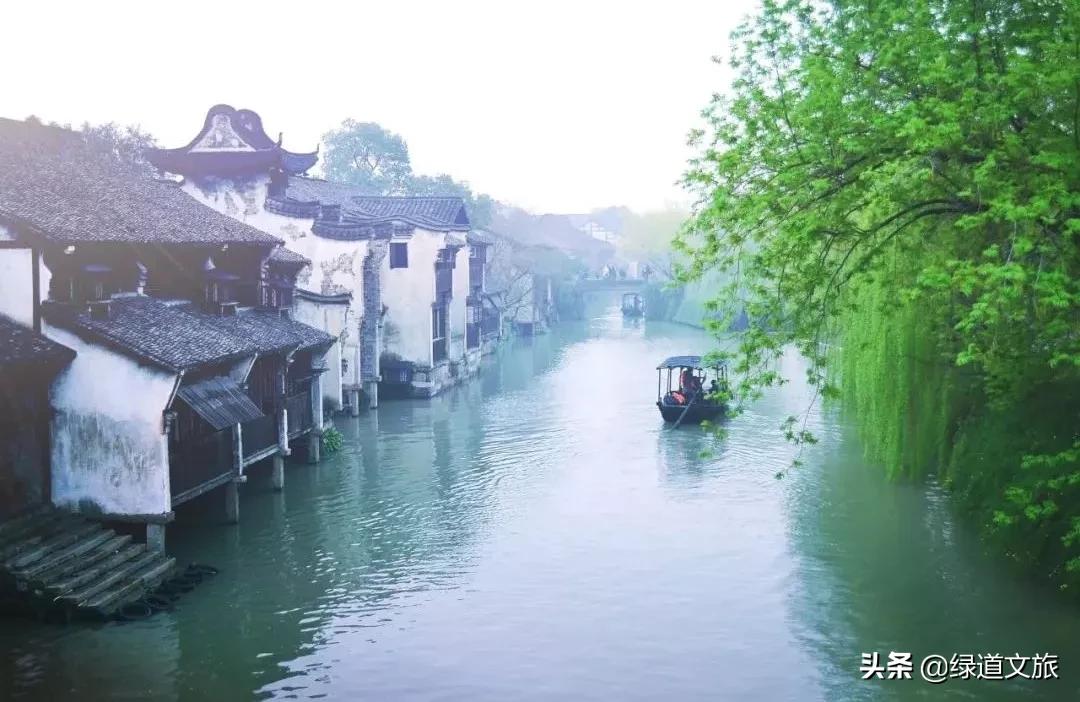 桃李春风小镇,桃李春风小镇发展前景
