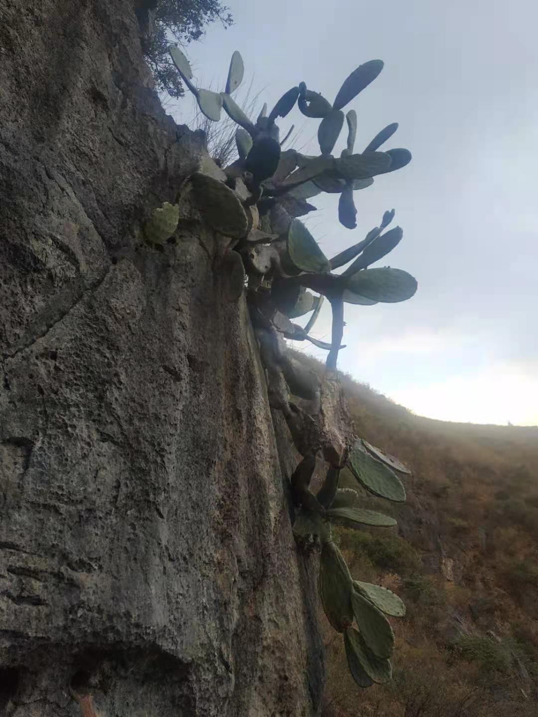 云南大理祥云天华山门票多少钱,大理祥云水目山旅游攻略