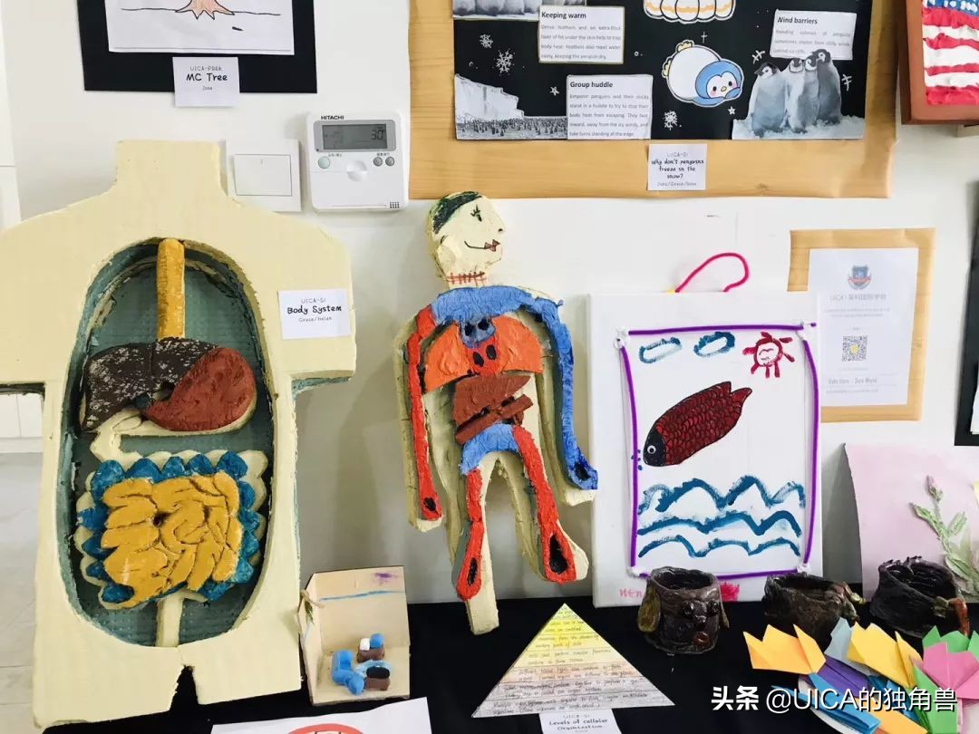 希望每一个孩子眼里都有光的成长,孩子在长大自己在成长