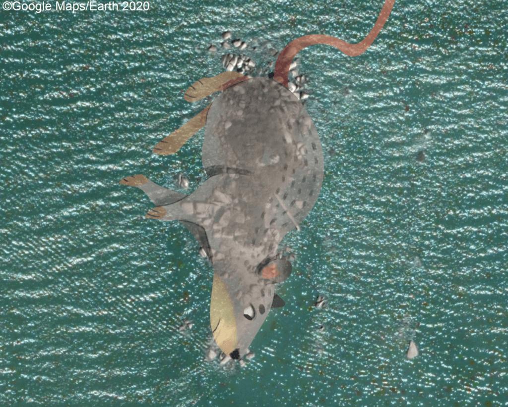 槟城去哪个海岛玩,槟城有哪些海岛