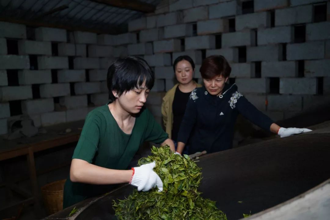 正确的普洱茶杀青是怎么做的,普洱茶正确杀青方法是什么