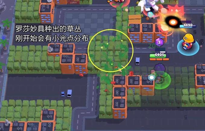 荒野乱斗罗莎怎么玩,荒野乱斗罗莎高端局怎么玩