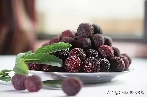 五一上海农家乐两天一晚游推荐,上海后花园总价300万