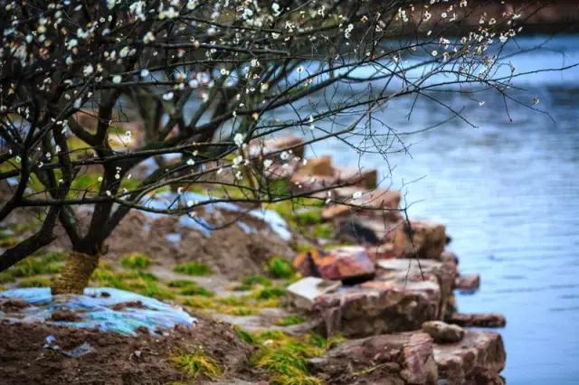 上海的魅力在什么地方,上海十六个区哪个区最好