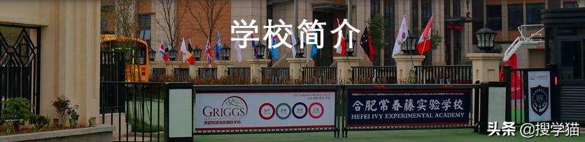 合肥高新常春藤,合肥高新常春藤双语国际学校