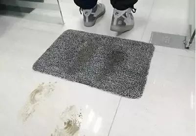 神奇的虎皮地毯,神奇宝贝的地毯