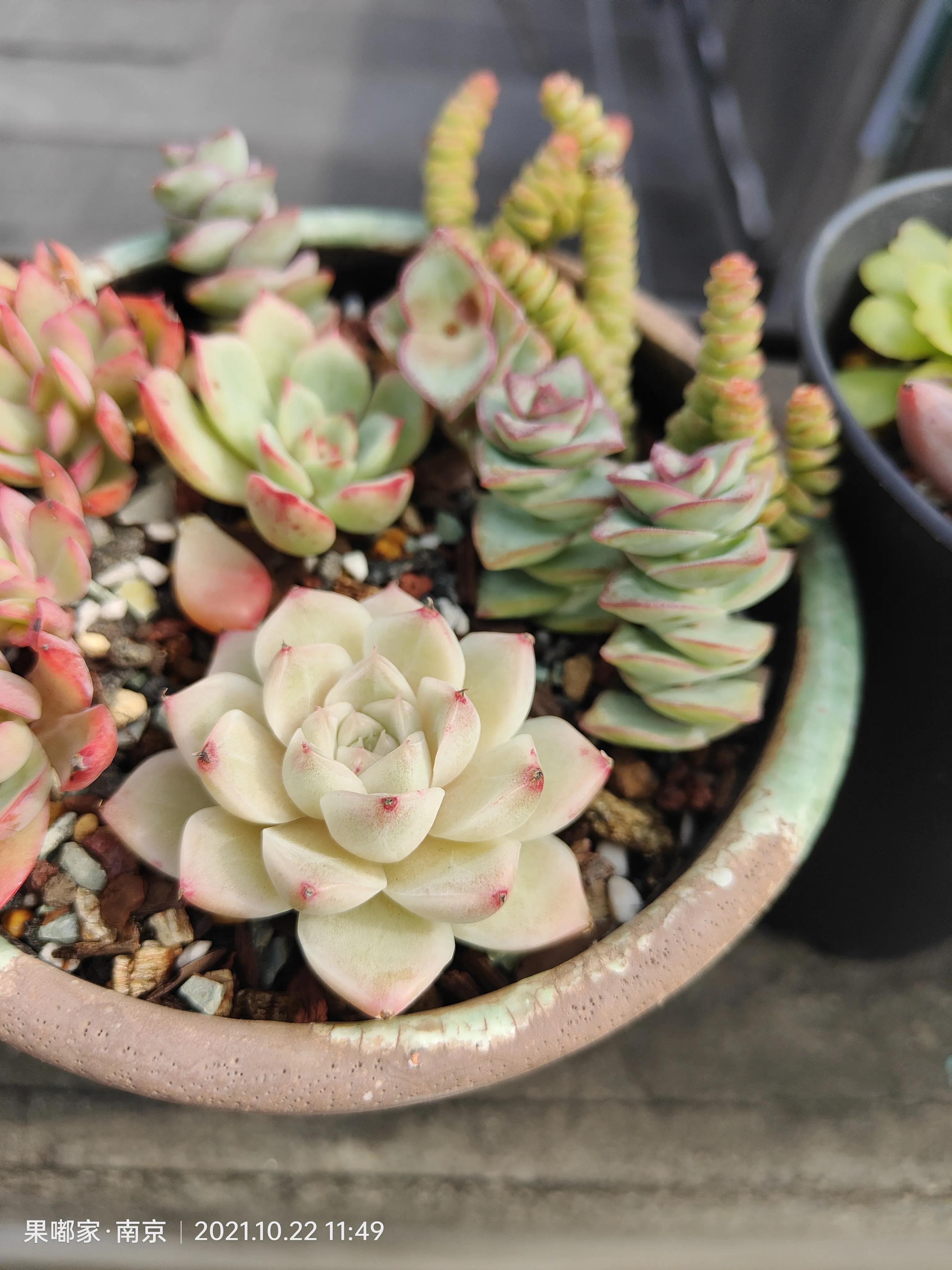 肉肉变美的季节到了,怎么把肉肉练精致