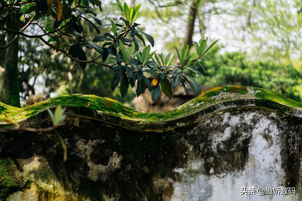 拙政园最让人欣赏的地方,拙政园十大特色