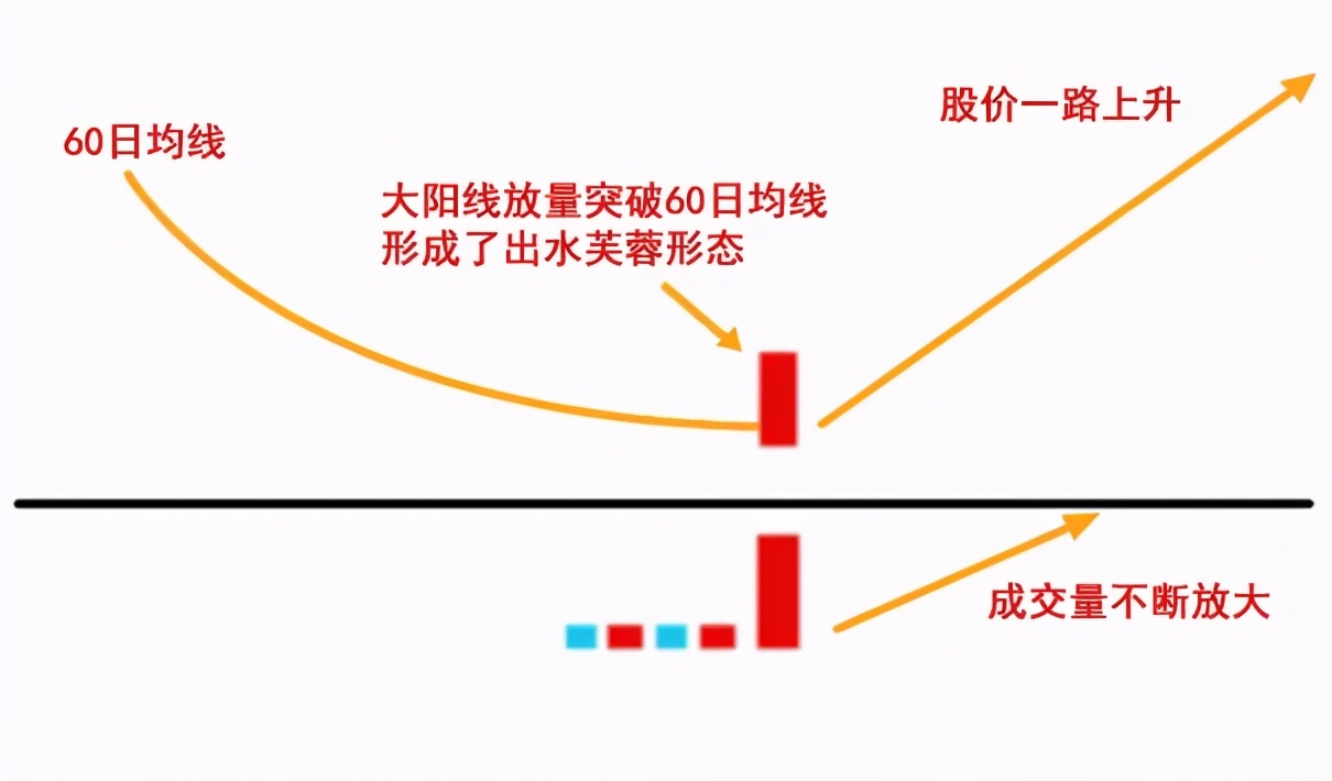 股票知识入门,股市股票基础知识大全