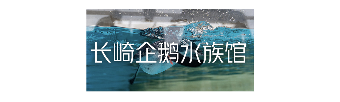 日本九州游,日本九州小众游