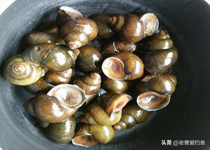 自制酒米窝料哪家渔具店铺好用,渔具窝料配方大全