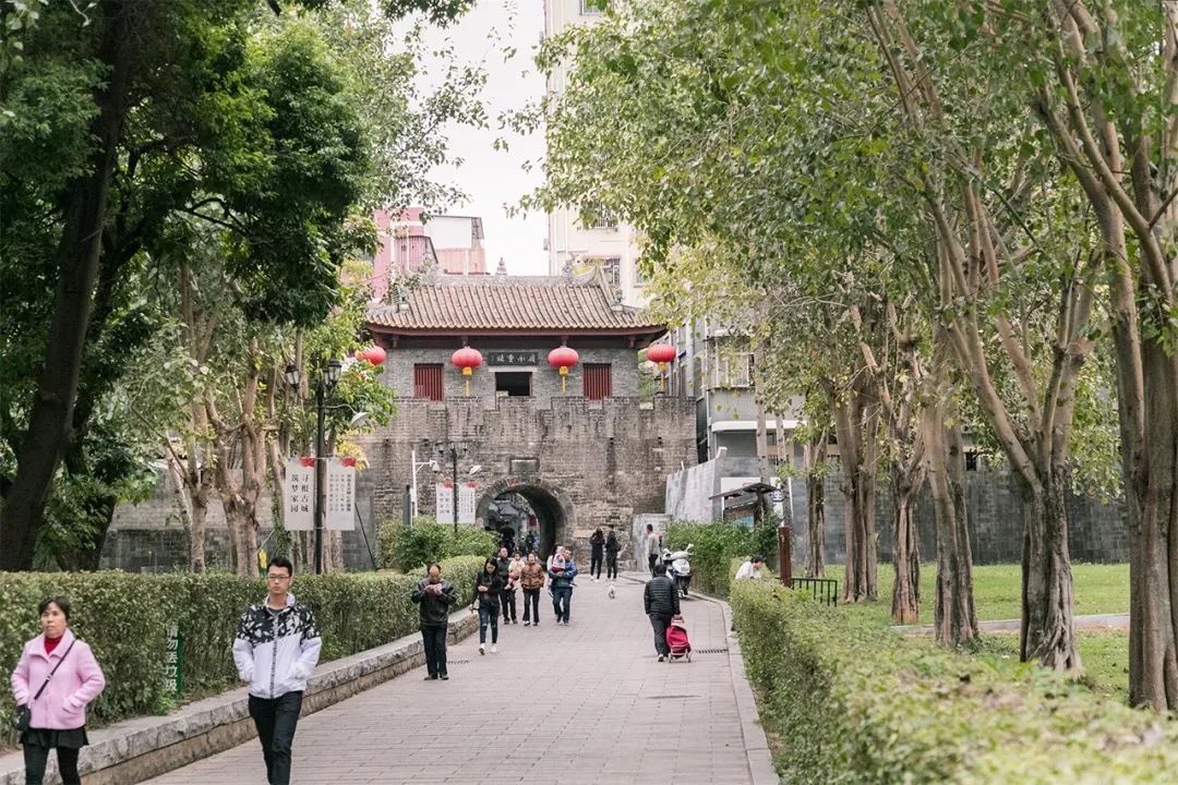 深圳周末带孩子免费游玩好去处,2021深圳免费适合遛娃玩地方排名