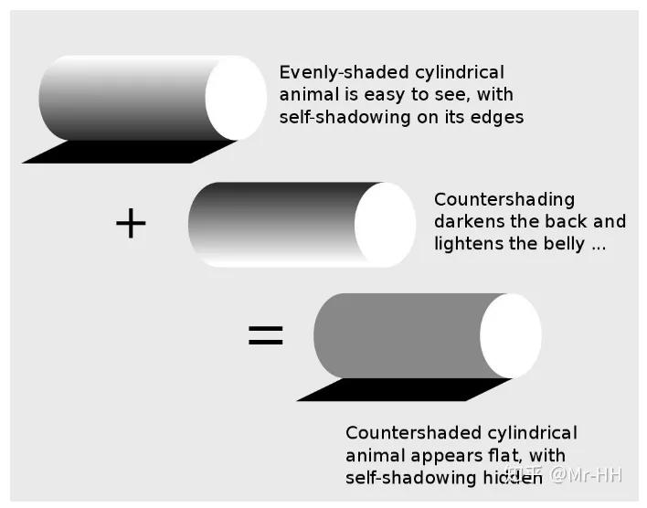 非洲大地最狂动物，动物园里连狮子毒蛇都有，偏偏没有它平头哥
