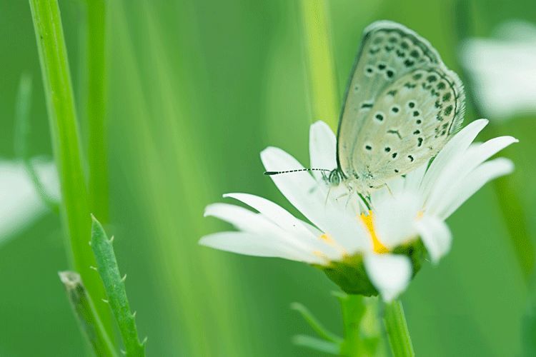 大暑的五种美,小暑的七种食物