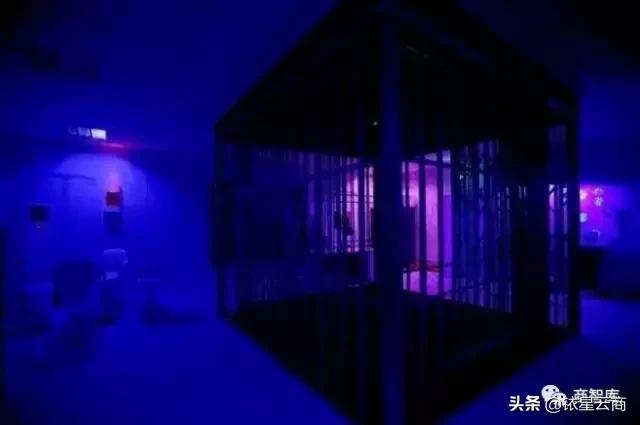 新奇特体验业态,新奇特娱乐体验业态兴起