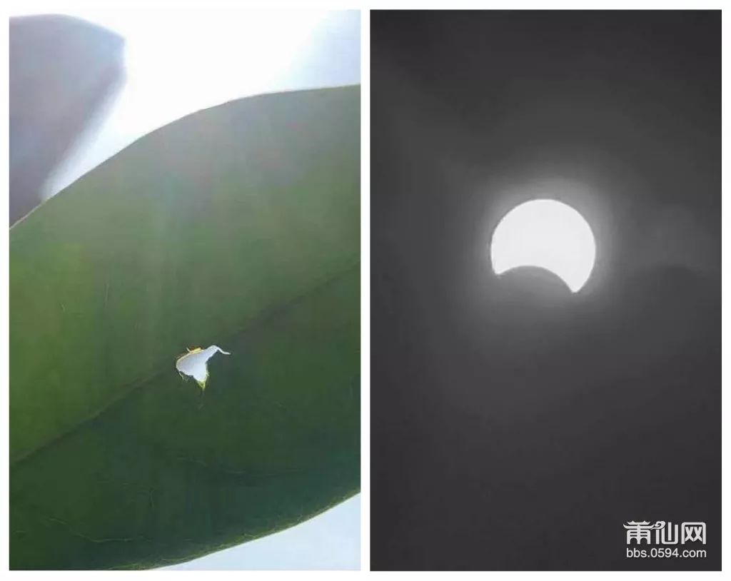 莆田发生台风神秘事件,莆田天空出现奇观