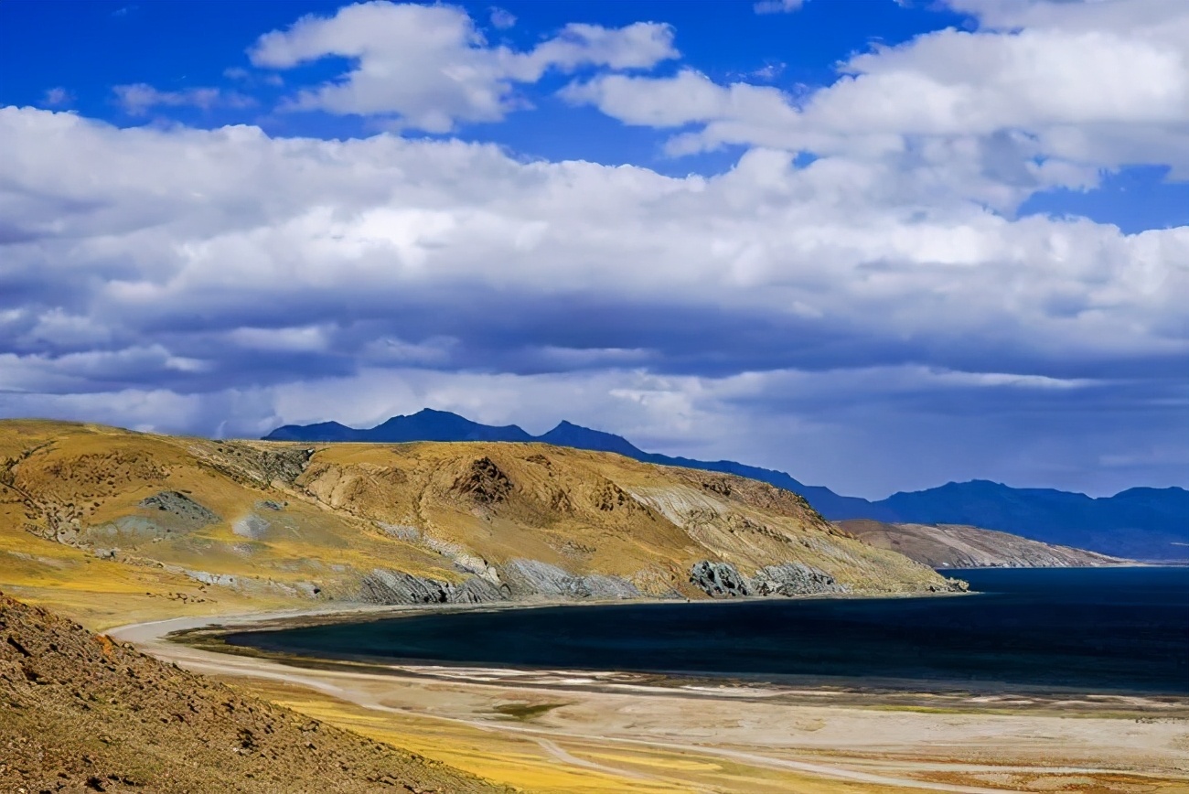它们冷门，可却是如此幽静美丽