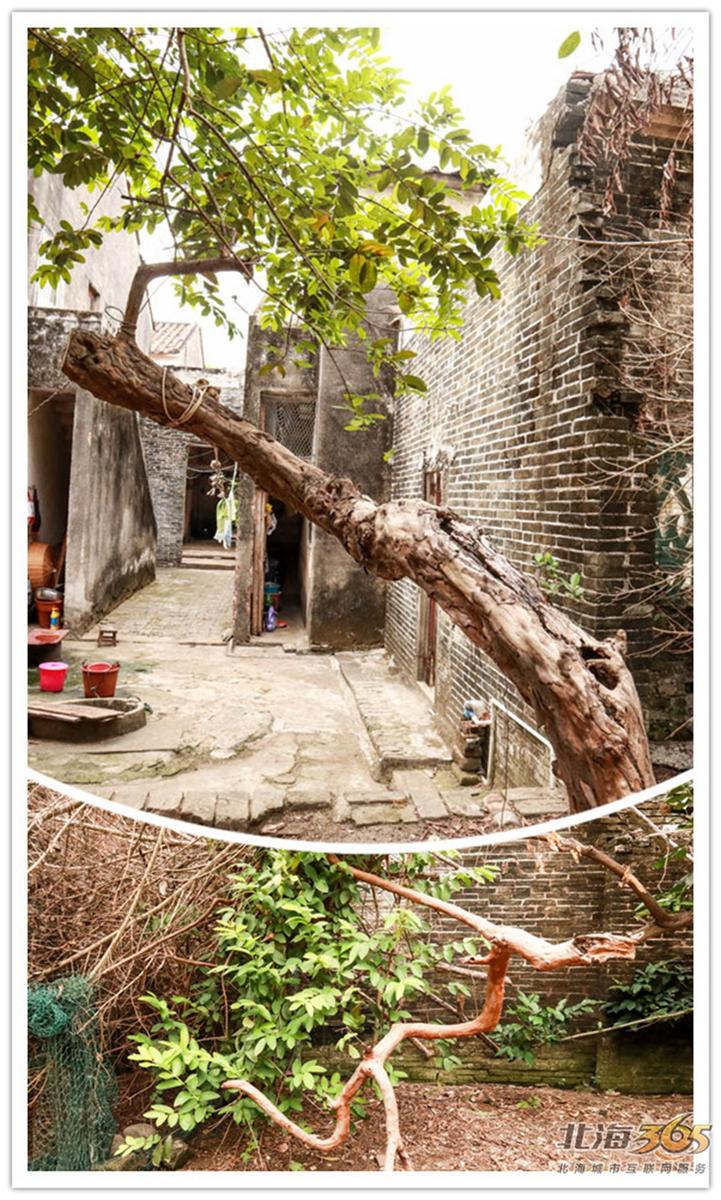 高德往事:重返旧时光,探索李桃栏深院大宅不为人知的过往