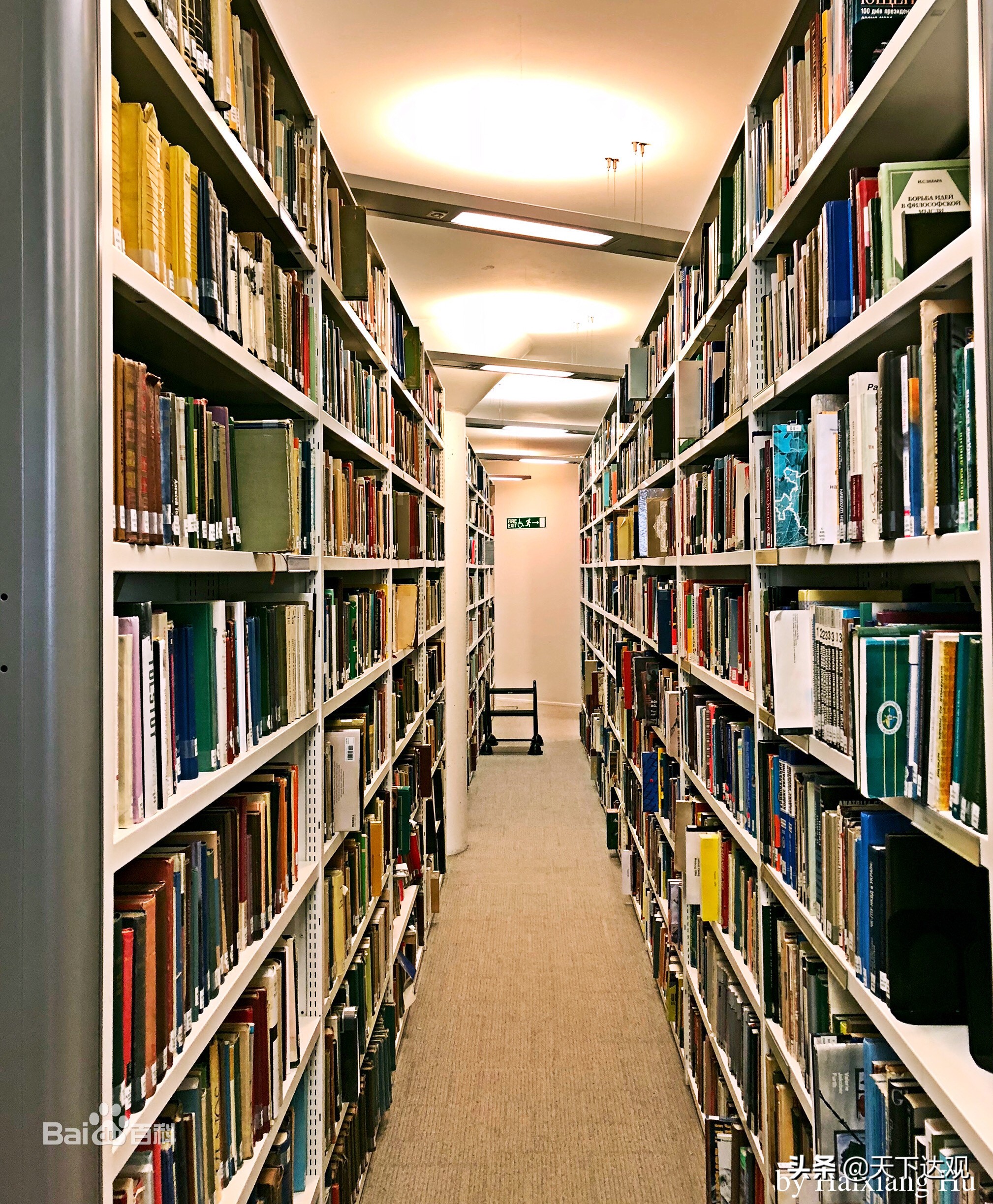 伦敦大学学院是哪一年建成的,英国大学伦敦大学学院