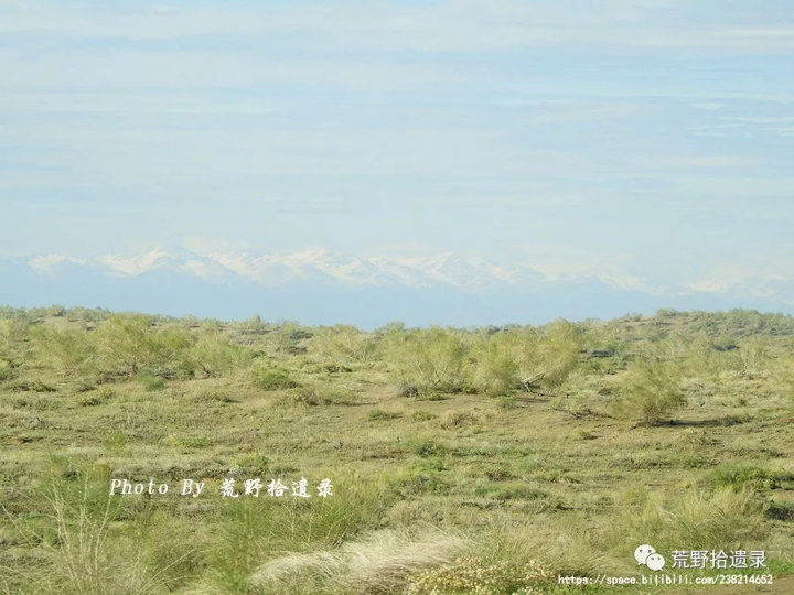 荒野拾遗录,荒野拾遗录完整