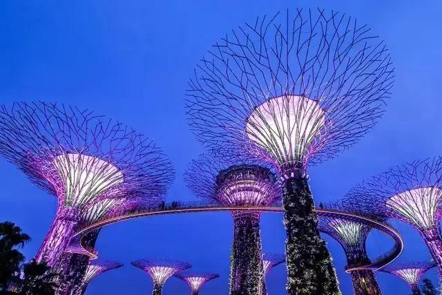 新加坡旅游必吃攻略,来新加坡旅游去哪里吃