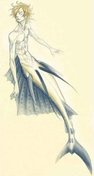 海贼王布鲁克初见娜美罗宾,娜美罗宾布鲁克变小