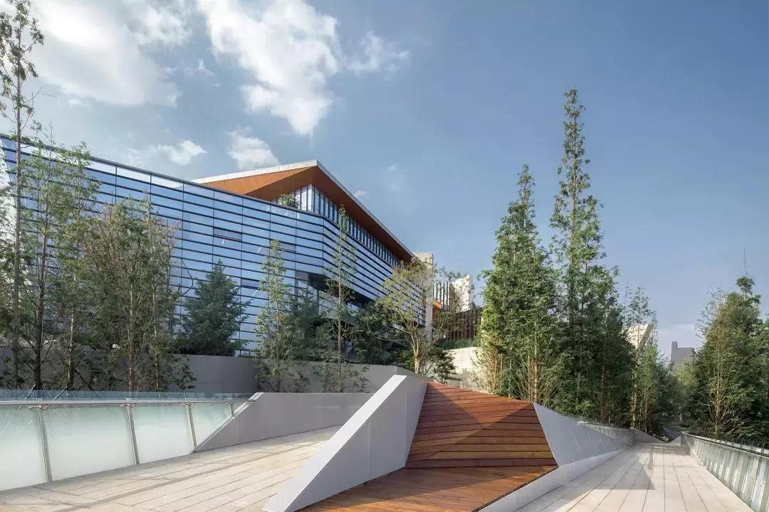 神盘麓湖生态城,麓湖生态城中国神盘