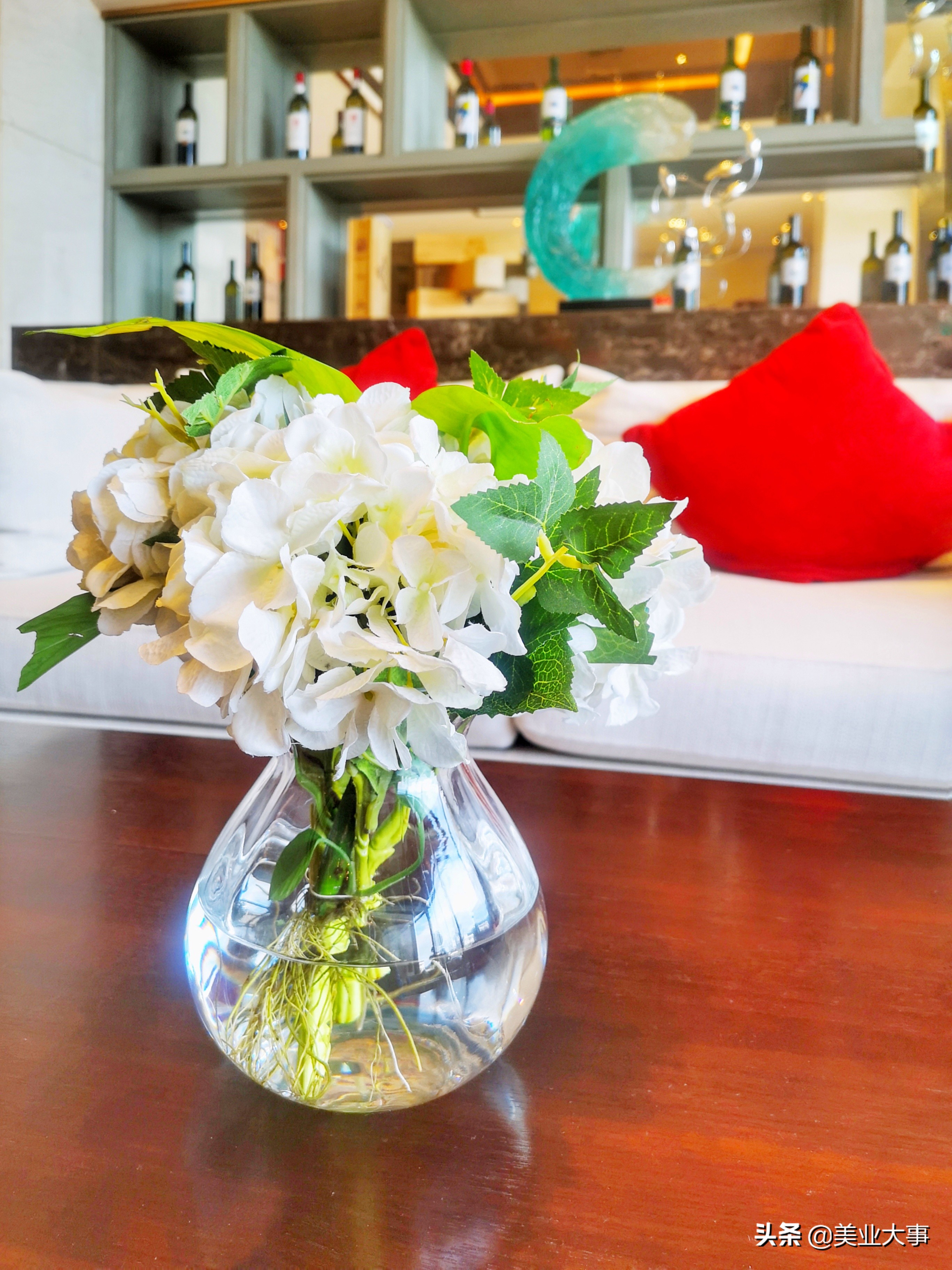 全棉时代首席体验官,全棉时代体验