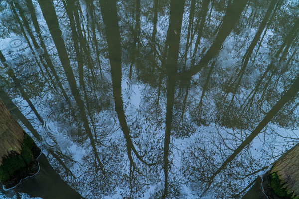 踏春赏花拍美景,踏春赏花逛湖