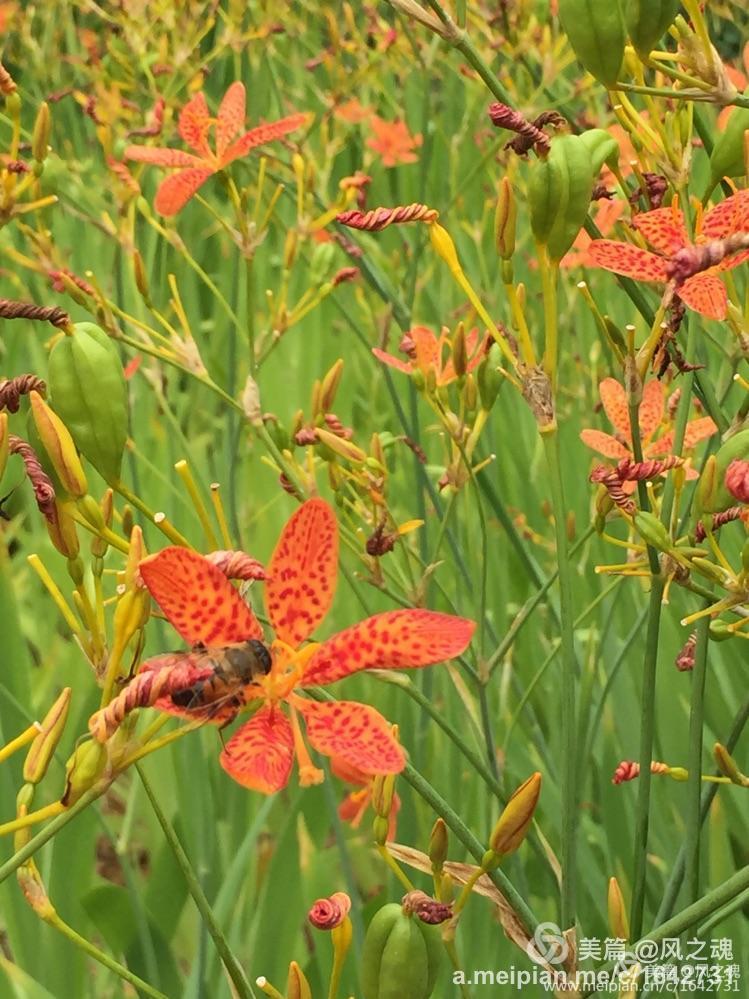 遵化汤泉御泉宫,遵化福泉宫汤泉